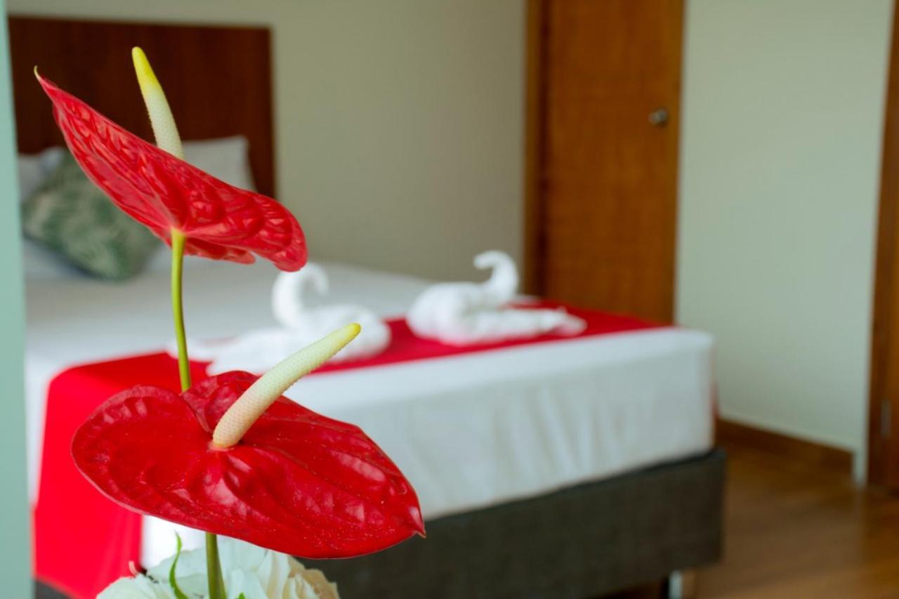 Hotel La Palmera De Oro Tarapoto Kültér fotó